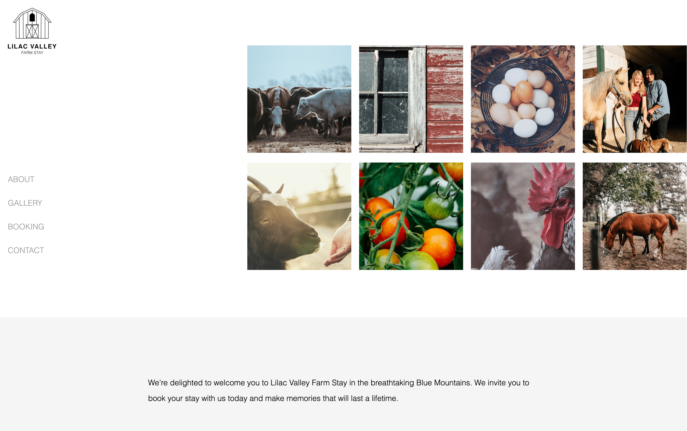 Gallery section with responsive grid layout